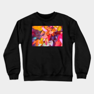 All Wet Crewneck Sweatshirt